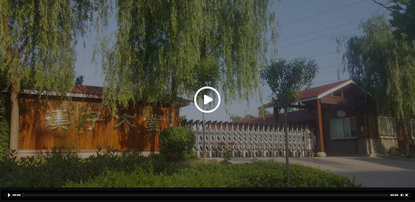 华体hth登录入口